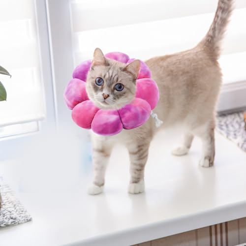 Image of Adjustable Dog Cone Collar, Soft Dog Elizabethan Collar Recovery E Collar After Surgery, Recovery E-Collar for Kittens /Puppies and Cats Recovery