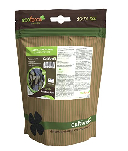 CULTIVERS Abono de Algas Marinas puro 250 g. Fertilizante Orgánico Ecológico Polvo Soluble. Extracto de Algas 100%. Fertilizante Bioactivador a Base de extractos de Ascophyllum nodosum.