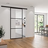 inova Glasschiebetür klar 1025x2200mm umlaufendes Aluminium Profil in schwarz inkl. 2-seitiger Softclose