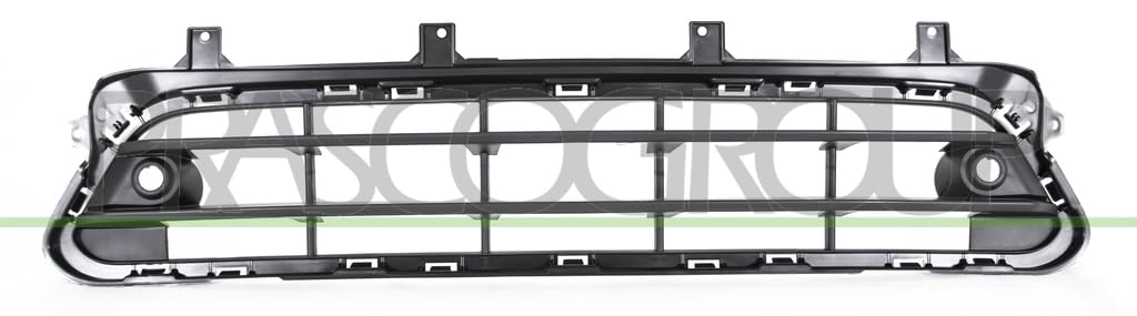 Bumper grille in the middle, black