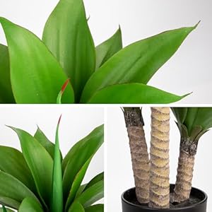 Briful 23.7'' Agave Plants Artificial Realistic Potted Faux Agave Plants 3 Agave Fake Plants in Black Pot Houseplant for Home Decor Indoor Outdoor Farmhouse Briful 237 Agave Plants Artificial Realistic Potted Faux Agave Plants 3 Agave Fake Plants in Black Pot Houseplant for Home Decor Indoor Outdoor Farmhouse