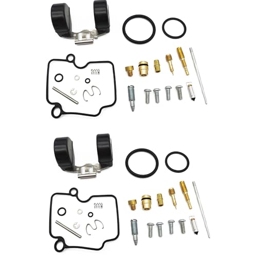 Kit réparation carburateur YBR125 VM22 anti-fuite avec flotteur et pointeau de réglage