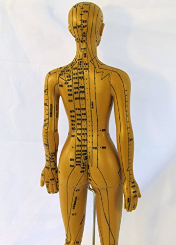 Human Female Acupuncture Anatomical Model with Acupuncture Points, Bronze Color, Height 18 Inch - Thumbnail 4