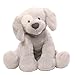 Baby GUND Spunky Dog Keywind Musical Stuffed Animal Plush, Gray, 8"