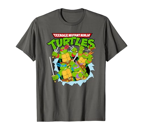 Teenage Mutant Ninja Turtles Classic 1987 Cartoon Group T�V���c