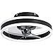 Ventilatore da Soffitto con Luce DC Funzione Estate Inverno Lampadario Ventilatore Silenzioso Plafoniera con Ventilatore e Telecomando & App 6 velocita Dimmerabile Lampadari Ventola,40cm,Nero