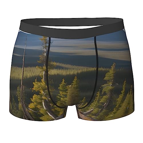 Ocean Fishes Print Men's Boxer Briefs,Luxury Underwear Trunks,Athletic Underwear - Ideal for Daily Athletic