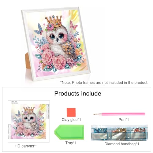 Image of AiYuanzsh Diamond Art Kits for Adults, 5D Special Shape Owl Diamond Painting, Crystal Rhinestones Diamond Art Kits for Beginners, DIY Animal Diamond Art for Home Wall Decoration Gift, 12x12 Inch