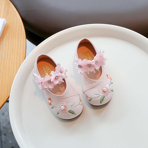 Girl Mary Jane Dance Shoes Ballet Sports Shoes Traditional Chinese Flower Embroidered Shoes Princess Skirt Flat Shoes4