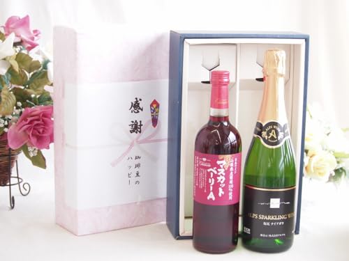 実りの秋の贈り物 感謝の贈り物ボックス 山梨県産葡萄マスカットベーリーA種使用ワインと国産ワイン2本セット(塩尻ナイアガラスパークリング白ワインやや甘口(長野県)720mlマスカットベーリーA赤ワイン720ml