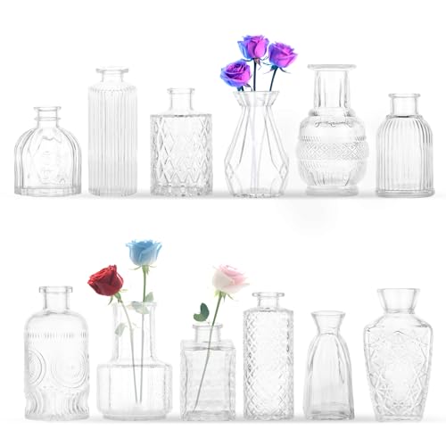 Jarrones Cristal Pequeños 12 Mini – Jarrón Cristal Decorativo Estilo Vintage con Cuerda de Yute – Reutilizables y Resistentes, Ideal para Bodas, Fiestas y Decoración del Hogar