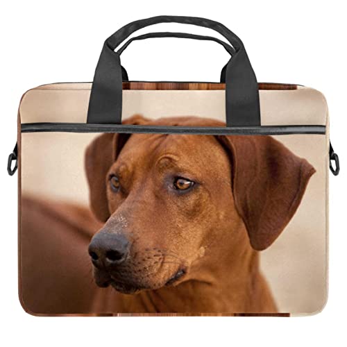 Sacoche Rhodesian Ridgeback multicolore rembourrée pour ordinateur 14 pouces