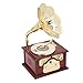 Vintage Record Player, Brown Gramophone Record Player Gramophone Music Box Vintage Phonograph with Flower Horn Antique Music Box for Home and Office Decor