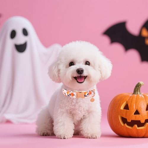 Image of Halloween Dog Collar with Metal Buckle Gift Pumpkin Dog Collar for Small Medium Large Girls or Boys Dogs Cute Durable Comfortable Pet Collars