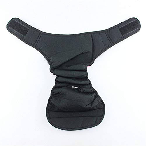 HEELPPO Pannolini Cane Pannolini per Cani Femmina