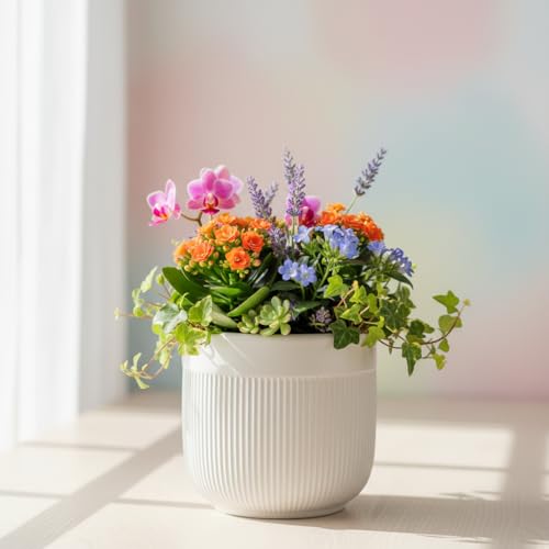 Image of Xtore Refined Ceramic Ribbed Planter with Base | Medium Round Plant Pot for Desk, Shelf & Corner Decor - (White, 1 Piece, Planter ONLY)