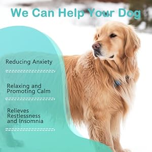 Hemp-Calming-Chews-for-Dogs-Anxiety-Relief-Dog-Calming-Treats-Natural-Ingredients-Dog-Calming-Chews-Aid-with-Separation-Barking-and-Sleeping-Promote-Relaxation-Reduce-Stress - Cucciolini Doodles   Hemp-Calming-Chews-for-Dogs-Anxiety-Relief-Dog-Calming-Treats-Natural-Ingredients-Dog-Calming-Chews-Aid-with-Separation-Barking-and-Sleeping-Promote-Relaxation-Reduce-Stress