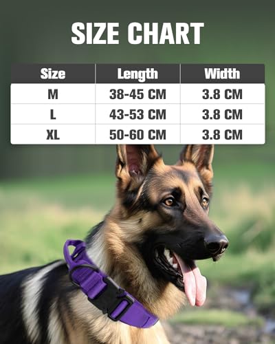 Joytale Taktisches Hundehalsband mit Griff Halsband Hund 3.8 cm Breit Hundehalsband für Große Hunde Verstellbar aus Nylon, Lila, L