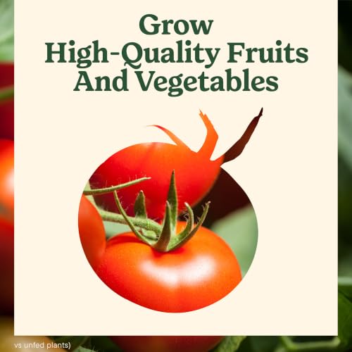 Image of Miracle-Gro Shake 'N Feed Tomato, Fruit & Vegetable Plant Food, 4.5 lb.