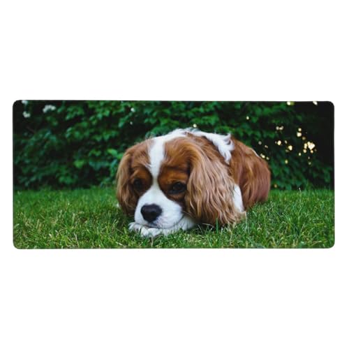 Tapis de souris géant Cavalier King Charles avec base antidérapante