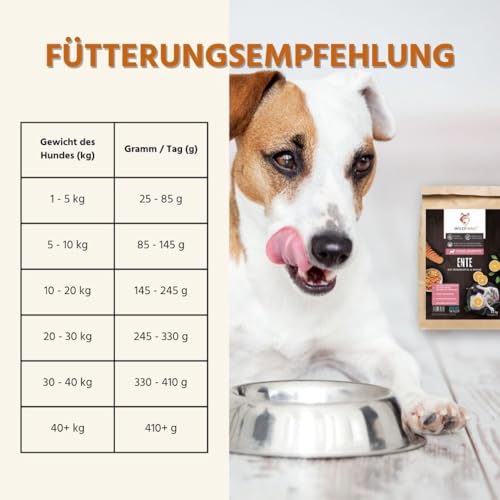Wildfang® Hundefutter - Trocken - Getreidefreies Hundefutter - Premium Trockenfutter (2 kg, Ente mit Süßkartoffel)