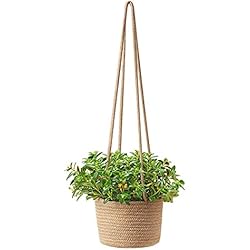 Maceteros Colgantes Carrefour Cesta Jardinera Colgante Canasta Plantas Con Cuerda Algodón Tejida Techo Florero Decoración Interiores Exteriores Hierbas Marinas Naturales 14cm