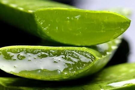 Image of Organic Aloe Vera Gel 400ml,100% Pure,Cold-Pressed Moisturizer for Face,Skin & Hair,Natural Sunburn & Acne Relief,Non-Sticky & Fast Absorbing,Suitable for All Skin Types