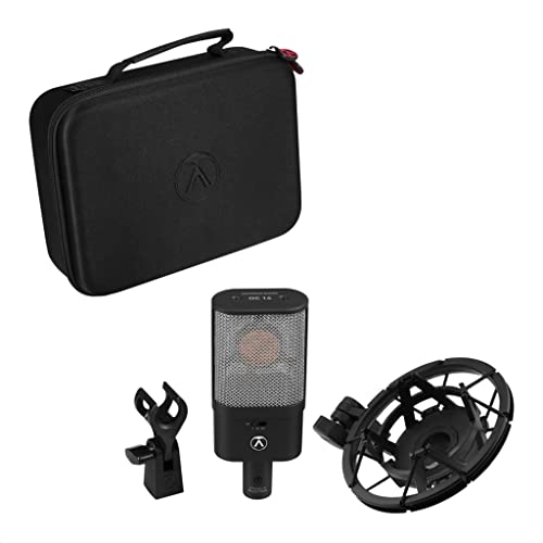 AUSTRIAN AUDIO OC16 単一指向性 コンデンサーマイク の商品画像 2