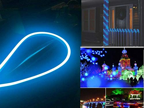 US Stock 110V Flexible LED Neon Rope Light Strip Waterproof Neon LED Rope Lighting Wedding Christmas Party Home Decor Indoor Outdoor Room Decor Lighting (100FT, Ice Blue)