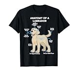 Photo Gallery anatomia di un proprietario di cane divertente labrador maglietta Photo Gallery anatomia di un proprietario di cane divertente labrador maglietta