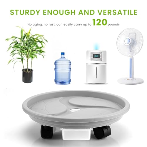 Image of HASTHIP Plant Stand with Wheels 26cm Round Pot Trolley for Big Pots | Sturdy Movable Stand for Heavy Pots, Smooth Wheels for Easy Shift, Thick Build for Indoor Outdoor Use