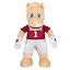 Oklahoma Sooners Boomer