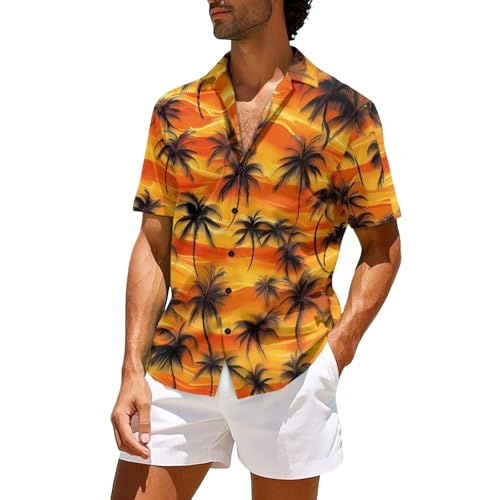 Chemise à manches longues homme col rabattu tee shirt en lin grandes tailles