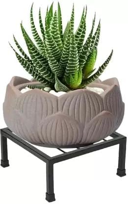 Namani Metal Havey Plant Stand for Balcony, Plant Stands Set of 1, Pot Stand for Outdoor Plants, Rust Free Iron, Indoor Outdoor Plant Stand, Gamla Stand for Plants (Black) (Pack of 1) (B0CL346WXJ) Amazon Price History, Amazon Price Tracker