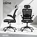 Oline ErgoAir Ergonomic Office Chair – Adjustable Lumbar Support, Flip-Up Armrests, Mesh Computer Desk Chair, Swivel Rolling Executive Gaming Chair for Home & Office (Black)