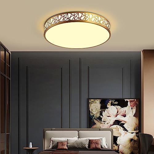 Lámpara de techo moderna con decoración premium Dere de 19.7 pulgadas 4