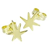 Sternchen in mattierter Optik InCollections Damen-Ohrstecker 333/000 Gold, Stern 0010160043401