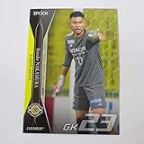 Jカード2020 UPDATE ■レギュラーカード■260/中村航輔/柏 ≪Jリーグオフィシャルトレーディングカード≫