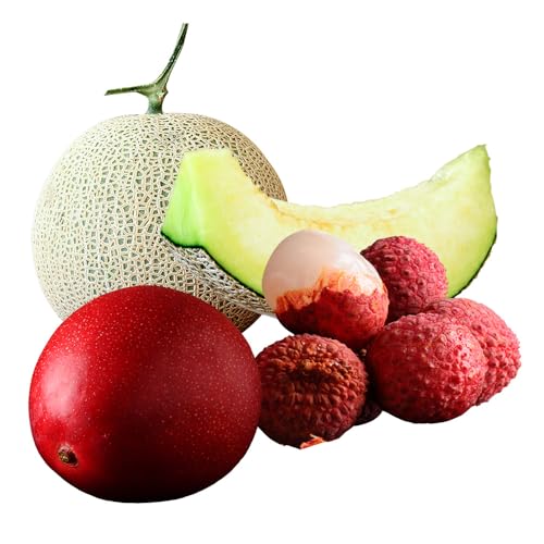 サマーフルーツ定期便 全2回 [メロン・マンゴー&ライチ]※2026年6月開始 旬 果物