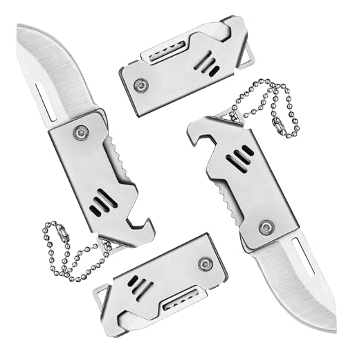 SNONESIY 2 PCS Mini Messer Taschenmesser Schlüsselanhänger Messer Klappmesser Klein Klappmesser für Outdoor Camping