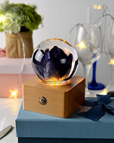 Image of MISS LI GARDEN Forever Purple Tulip Elegant Present for Girlfriend Wife Mom Women Enchanted Birthday Anniversary Wedding Home Decor