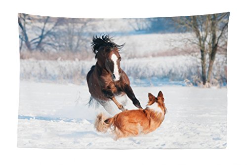 Lunarable Horse Tapestry, Welsh Pony and Border Collie Dog Playing in Winter Snow Covered Field, Fabric Wall Hanging Decor for Bedroom Living Room Dorm, 45' X 30', White Brown and Orange