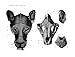 An Atlas of Animal Anatomy for Artists (Dover Anatomy for Artists)