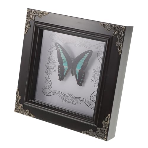 Abaodam Butterfly Photo Frame Butterfly Specimen Decor Butterflies Specimen Case Butterfly Framed Wall Art Framed Butterfly Insect Display Case Butterfly Specimen Framed Art Acrylic