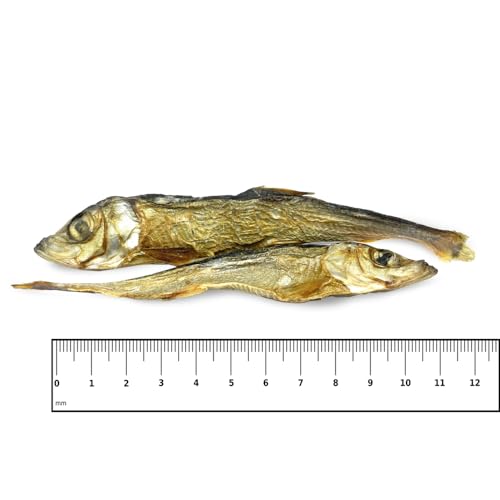 ICEPAW I Heringe I ca. 100 g I getrockneter, energiereicher Fisch I Kauspaß und Zahnpflege für Hunde
