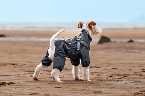 BT Bear Hundegeschirr-Regenmantel, verstellbare 4 Beine, Hunde-Regenjacke mit Geschirr, reflektierender Overall, Wasserabweisender Hunde-Regenmantel für kleine Hunde, Grau, Größe L