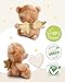 NICI Dein Schutzengel Kuscheltier Bär La La Bearie 28cm in Geschenkbox - Teddybär klein, Niedliches Stofftier zum Kuscheln und Spielen, Plüschtier für Schmusetierliebhaber - 61184