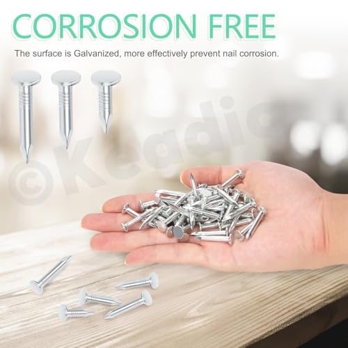 Keadic 300Pcs 1-1/4" Galvanized Roofing Felt Nails Bulk Set - Image 4
