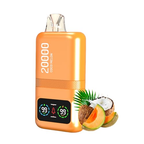 【20000回吸引可能】使い捨て電子タバコvape ベイプ デュアルモード調整可能 バッテリー&リキッド残量表示 600mah Type-C充電可能本体 LEDディスプレイ搭載 爆煙スターターキット 持ち運び 水蒸気タバコ 禁煙 ニコチン タール無し (コ