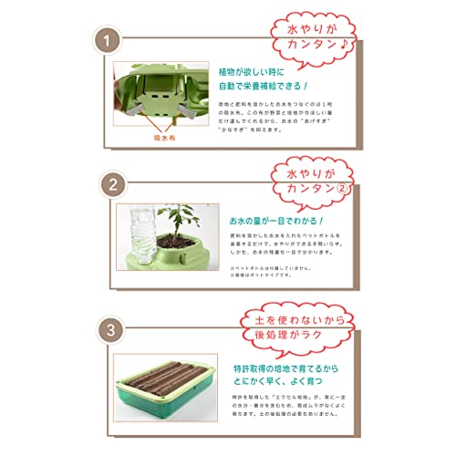 子どもも簡単にできる！家庭菜園（水耕栽培）キット『私の畑』(トレイタイプ) ベランダ菜園 サニーレタス 自由研究 室内 5枚目